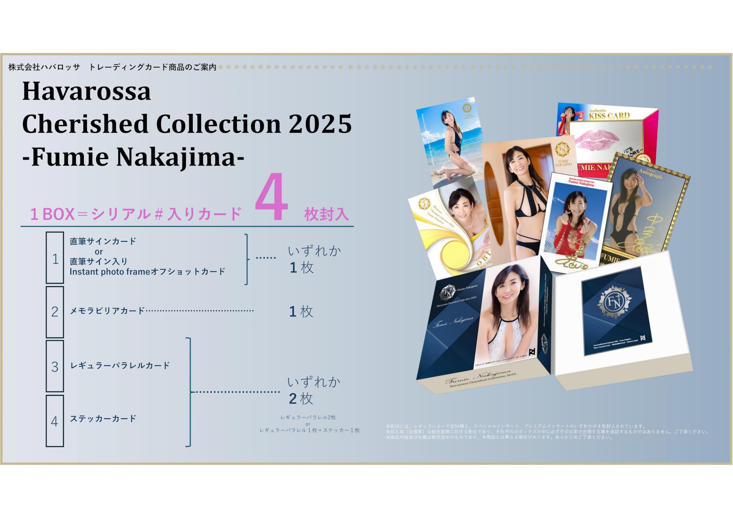 Amazon.co.jp: 中島史恵 トレーディングカード HAVAROSSA